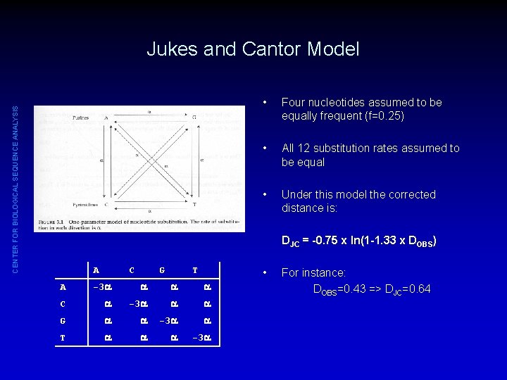 CENTER FOR BIOLOGICAL SEQUENCE ANALYSIS Jukes and Cantor Model • Four nucleotides assumed to