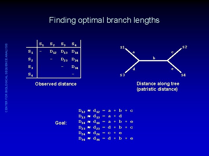 CENTER FOR BIOLOGICAL SEQUENCE ANALYSIS Finding optimal branch lengths S 1 S 2 S
