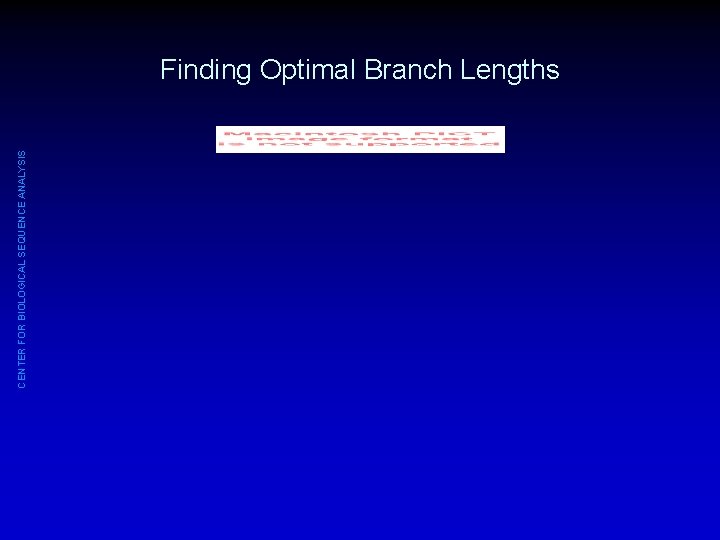 CENTER FOR BIOLOGICAL SEQUENCE ANALYSIS Finding Optimal Branch Lengths 