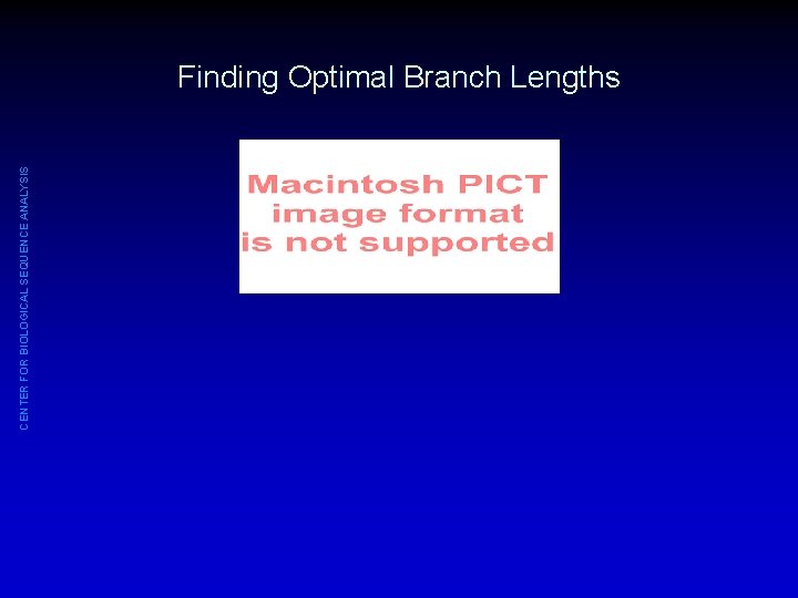 CENTER FOR BIOLOGICAL SEQUENCE ANALYSIS Finding Optimal Branch Lengths 