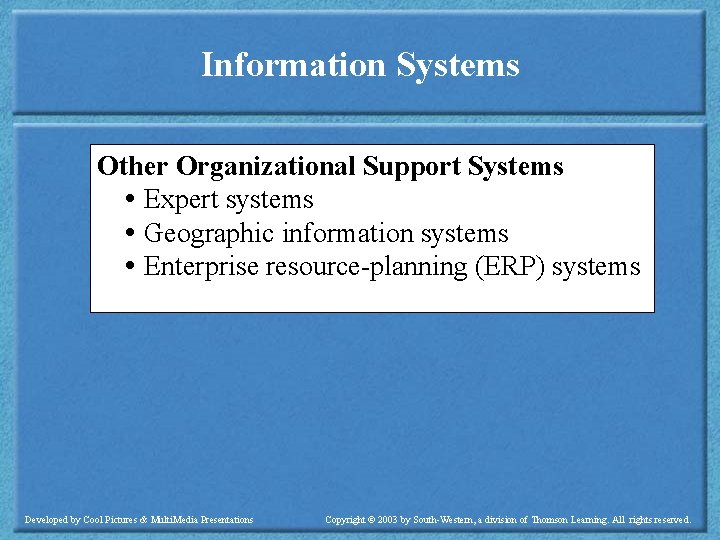 Information Systems Other Organizational Support Systems Expert systems Geographic information systems Enterprise resource-planning (ERP)
