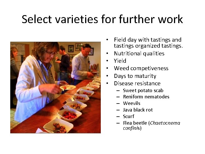 Select varieties for further work • Field day with tastings and tastings organized tastings.