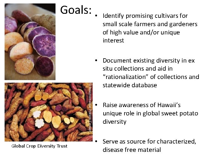 Goals: • Identify promising cultivars for small scale farmers and gardeners of high value