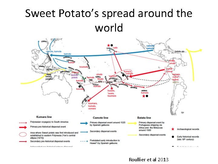 Sweet Potato’s spread around the world Roullier et al 2013 