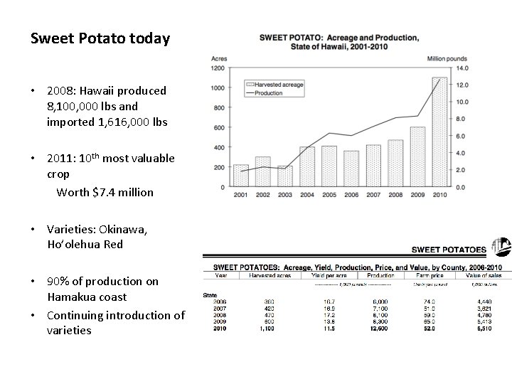 Sweet Potato today • 2008: Hawaii produced 8, 100, 000 lbs and imported 1,