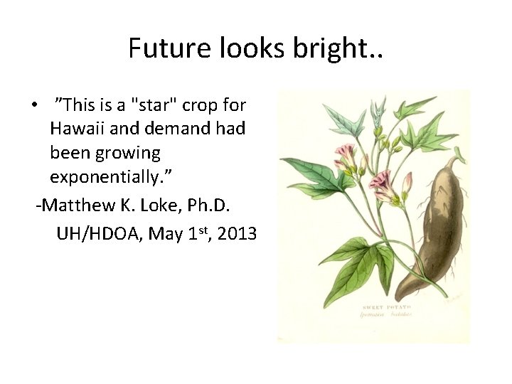 Future looks bright. . • ”This is a "star" crop for Hawaii and demand