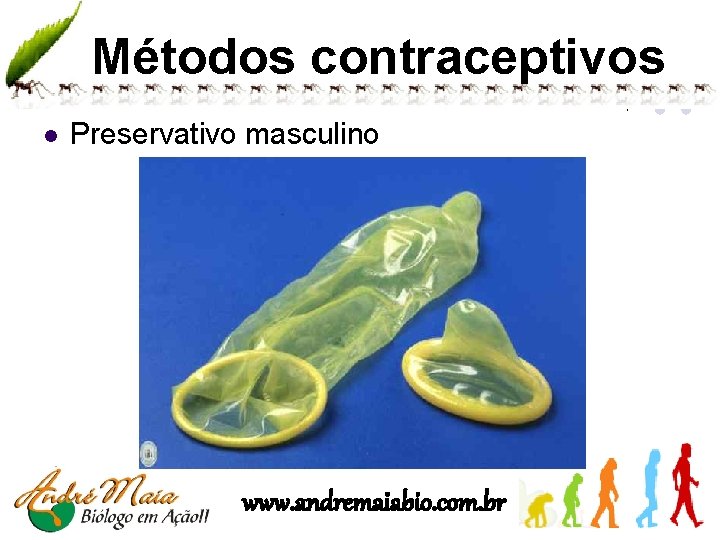 Métodos contraceptivos l Preservativo masculino www. andremaiabio. com. br 