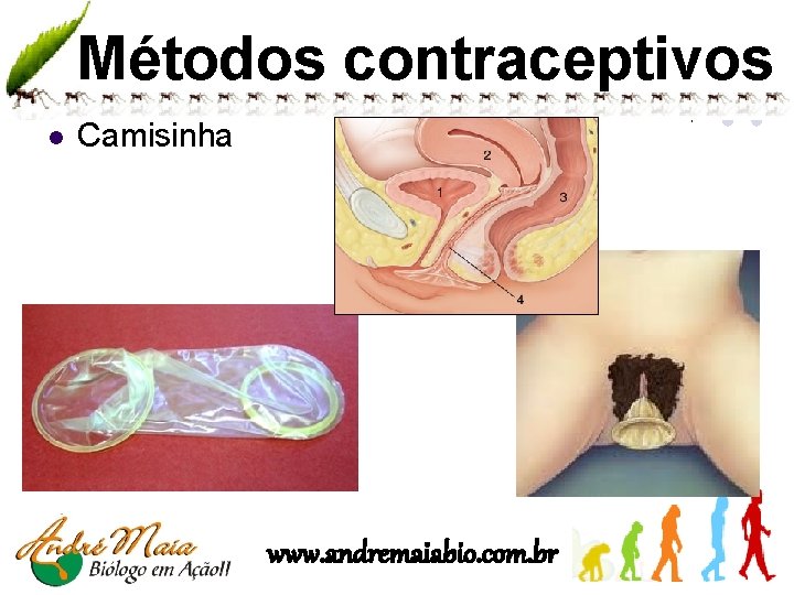 Métodos contraceptivos l Camisinha www. andremaiabio. com. br 