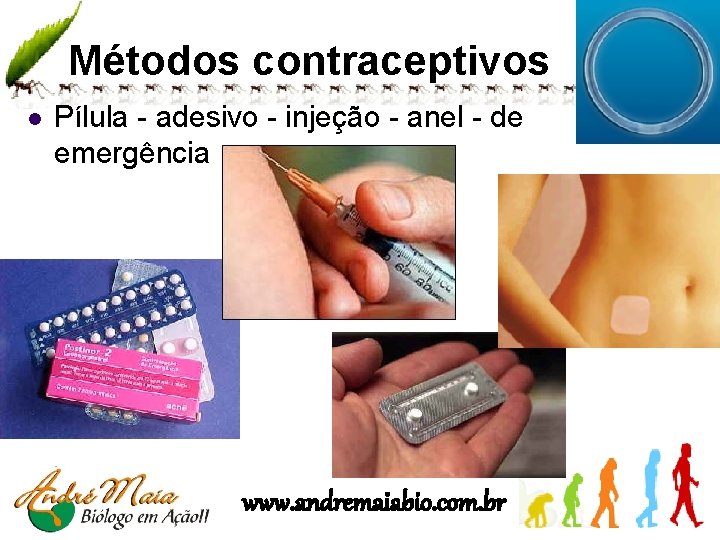 Métodos contraceptivos l Pílula - adesivo - injeção - anel - de emergência www.