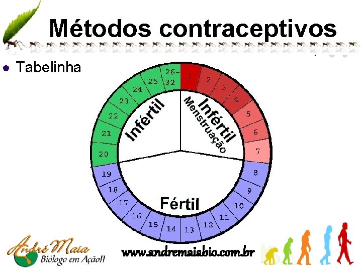 Métodos contraceptivos l Tabelinha www. andremaiabio. com. br 