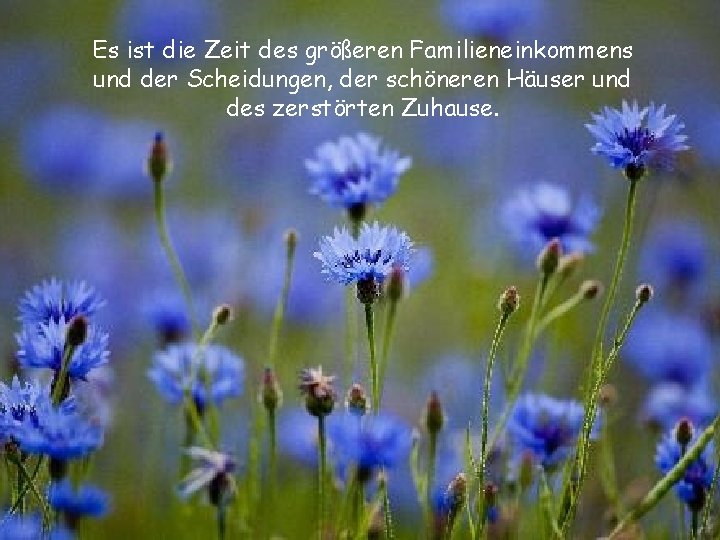 Es ist die Zeit des größeren Familieneinkommens und der Scheidungen, der schöneren Häuser und
