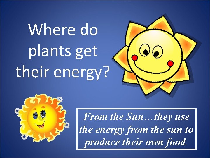 Where do plants get their energy? From the Sun…they use the energy from the