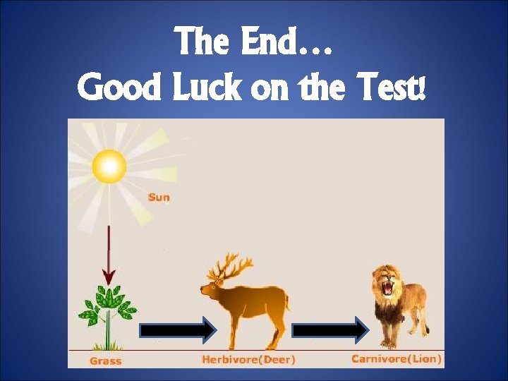The End… Good Luck on the Test! 