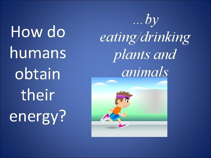 How do humans obtain their energy? …by eating/drinking plants and animals 