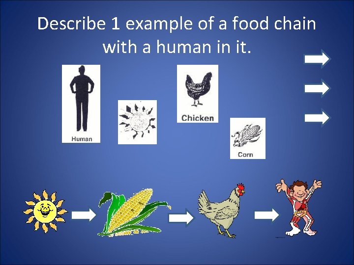 Describe 1 example of a food chain with a human in it. 