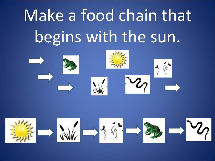 Make a food chain that begins with the sun. 
