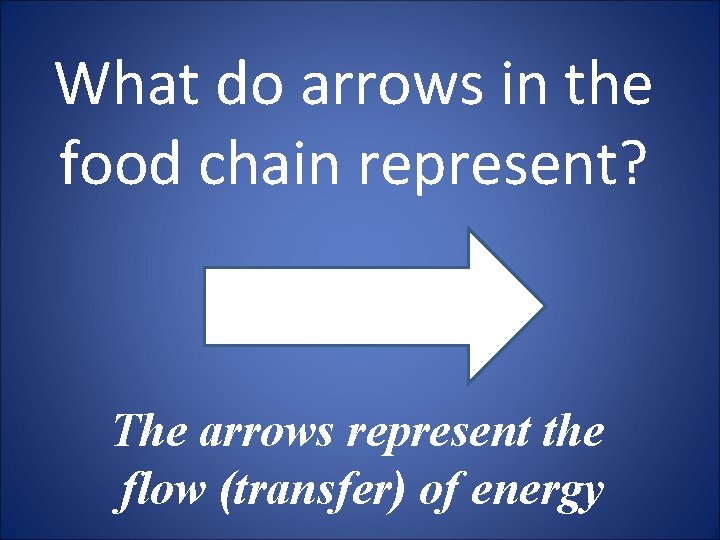 What do arrows in the food chain represent? The arrows represent the flow (transfer)