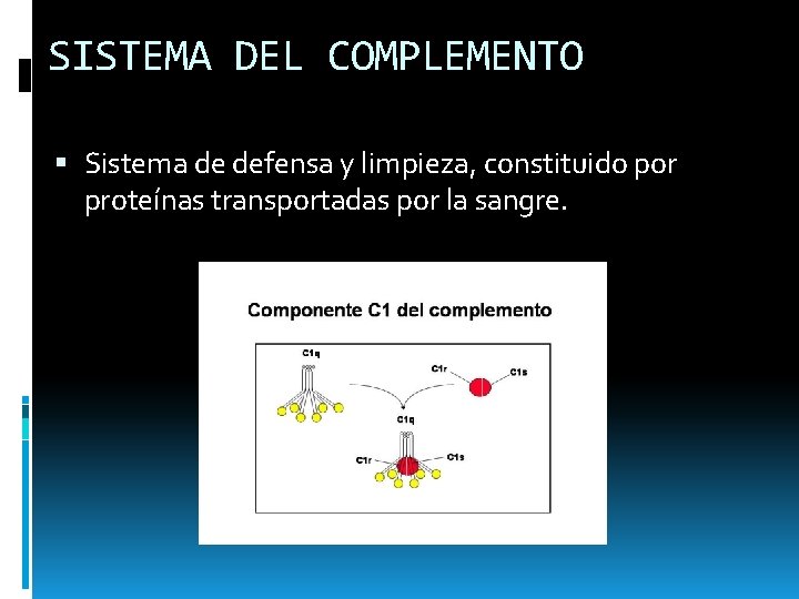 SISTEMA DEL COMPLEMENTO Sistema de defensa y limpieza, constituido por proteínas transportadas por la