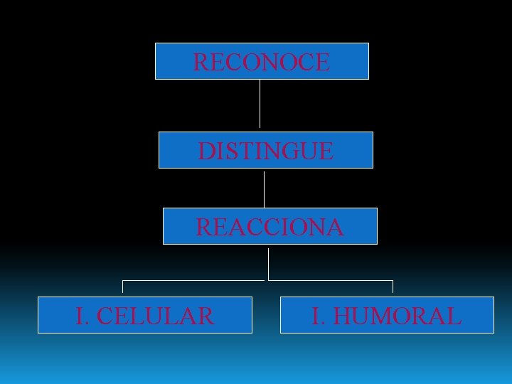 RECONOCE DISTINGUE REACCIONA I. CELULAR I. HUMORAL 