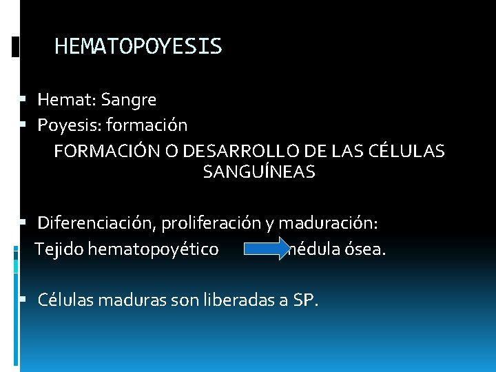 HEMATOPOYESIS Hemat: Sangre Poyesis: formación FORMACIÓN O DESARROLLO DE LAS CÉLULAS SANGUÍNEAS Diferenciación, proliferación