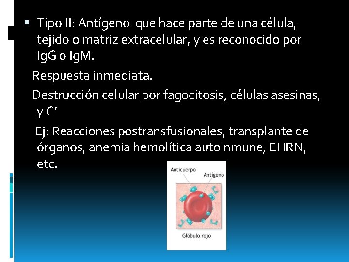  Tipo II: Antígeno que hace parte de una célula, tejido o matriz extracelular,