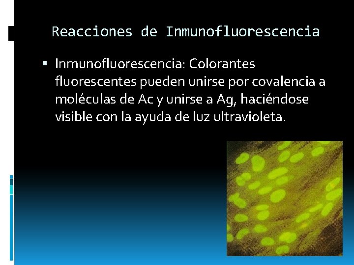 Reacciones de Inmunofluorescencia: Colorantes fluorescentes pueden unirse por covalencia a moléculas de Ac y