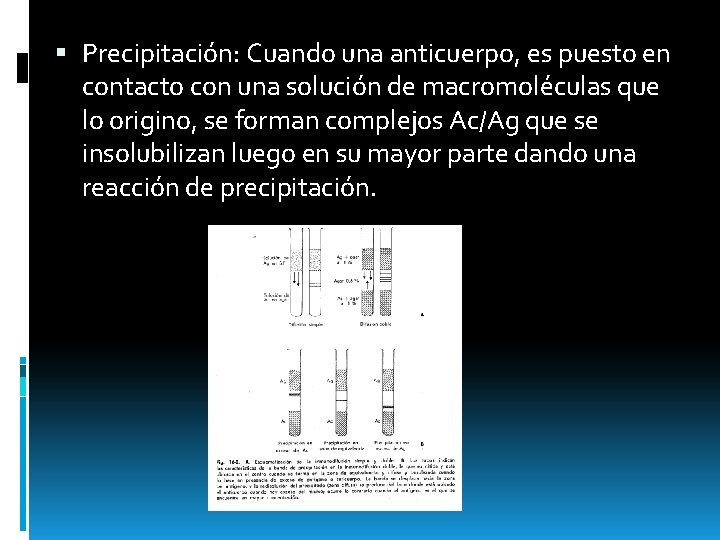  Precipitación: Cuando una anticuerpo, es puesto en contacto con una solución de macromoléculas