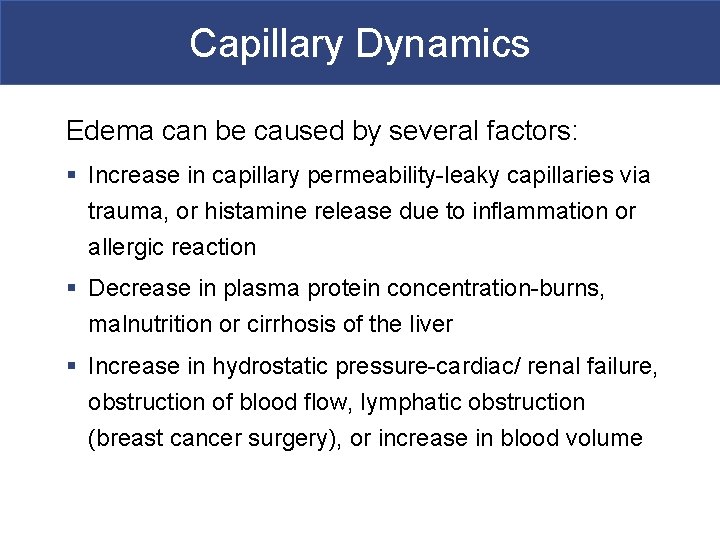 Capillary Dynamics Edema can be caused by several factors: § Increase in capillary permeability-leaky