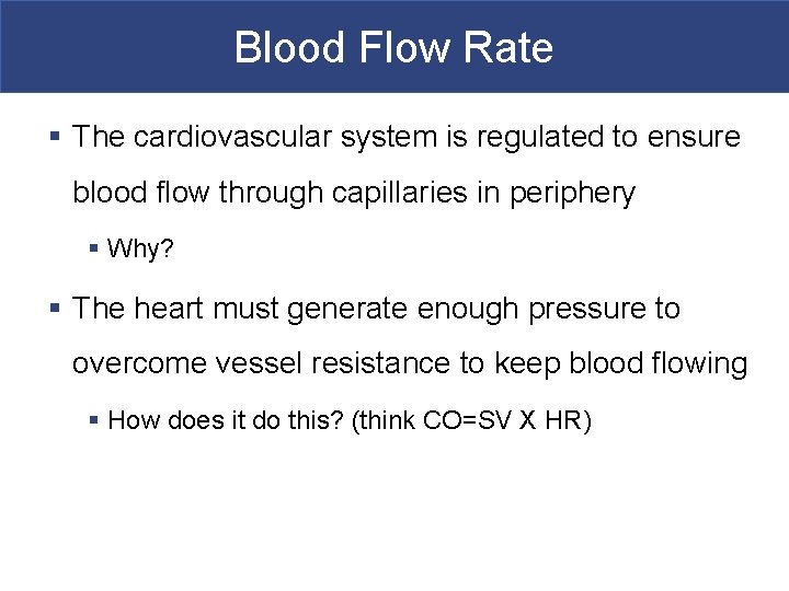 Blood Flow Rate § The cardiovascular system is regulated to ensure blood flow through