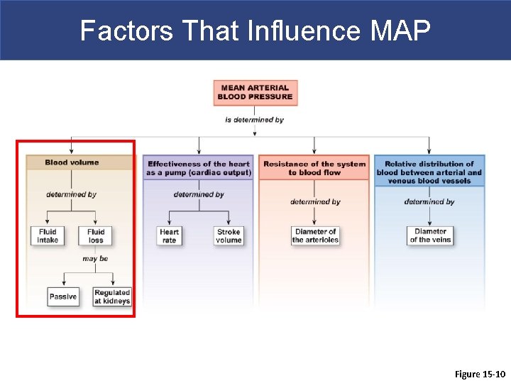 Factors That Influence MAP Figure 15 -10 