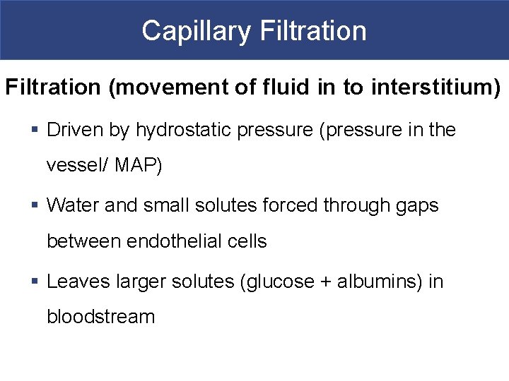 Capillary Filtration (movement of fluid in to interstitium) § Driven by hydrostatic pressure (pressure