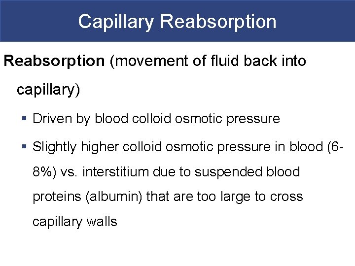 Capillary Reabsorption (movement of fluid back into capillary) § Driven by blood colloid osmotic