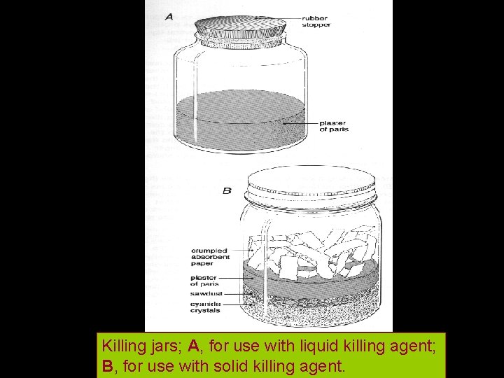 Killing jars; A, for use with liquid killing agent; B, for use with solid