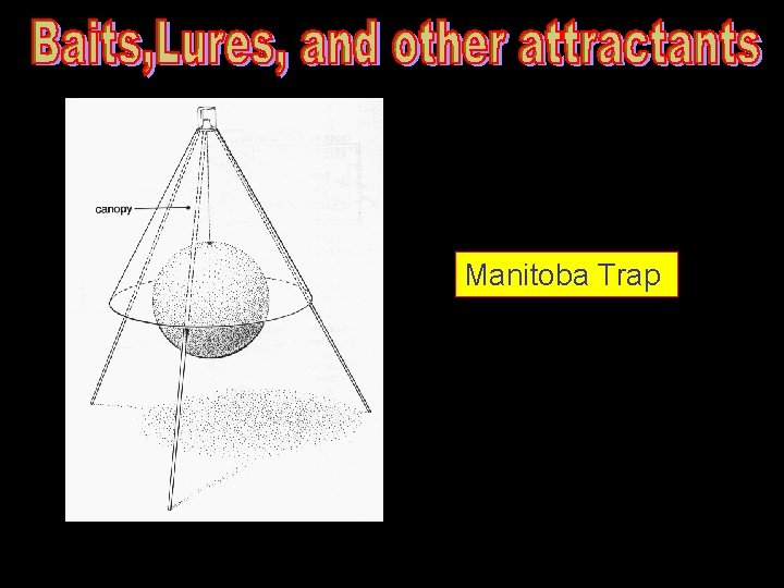 Manitoba Trap 