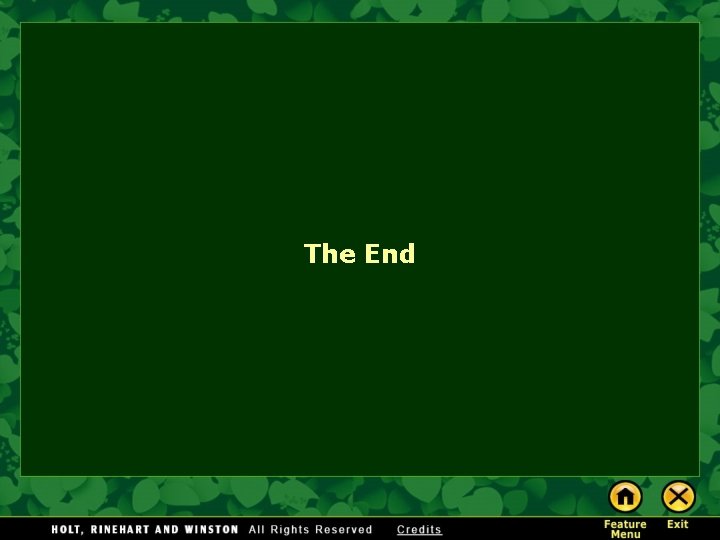 The End  The End