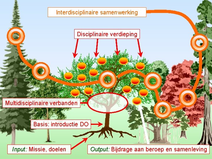 Interdisciplinaire samenwerking Disciplinaire verdieping Multidisciplinaire verbanden Basis: introductie DO Input: Missie, doelen Output: Bijdrage