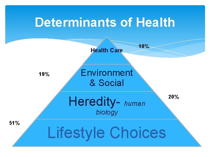 Determinants of Health Care 19% 10% Environment & Social Heredity- human biology 51% Lifestyle