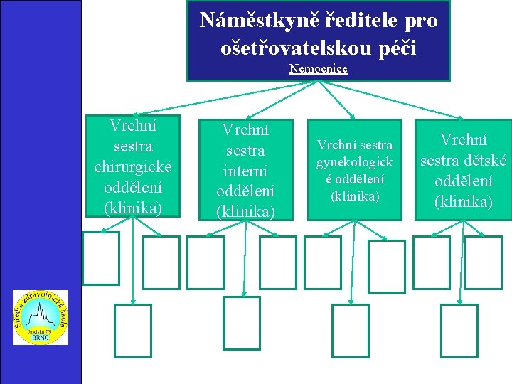 Náměstkyně ředitele pro ošetřovatelskou péči Nemocnice Vrchní sestra chirurgické oddělení (klinika) SS OJ Vrchní