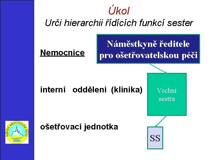 Úkol Urči hierarchii řídících funkcí sester Nemocnice Náměstkyně ředitele pro ošetřovatelskou péči interní oddělení