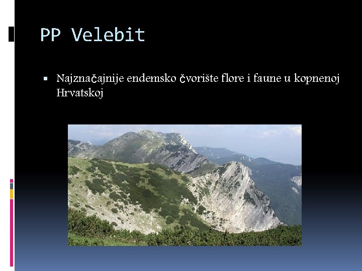 PP Velebit Najznačajnije endemsko čvorište flore i faune u kopnenoj Hrvatskoj 