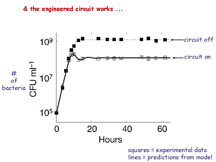 & the engineered circuit works. . . circuit off circuit on # of bacteria