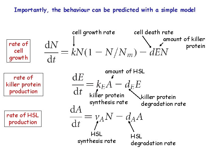 Importantly, the behaviour can be predicted with a simple model cell growth rate of