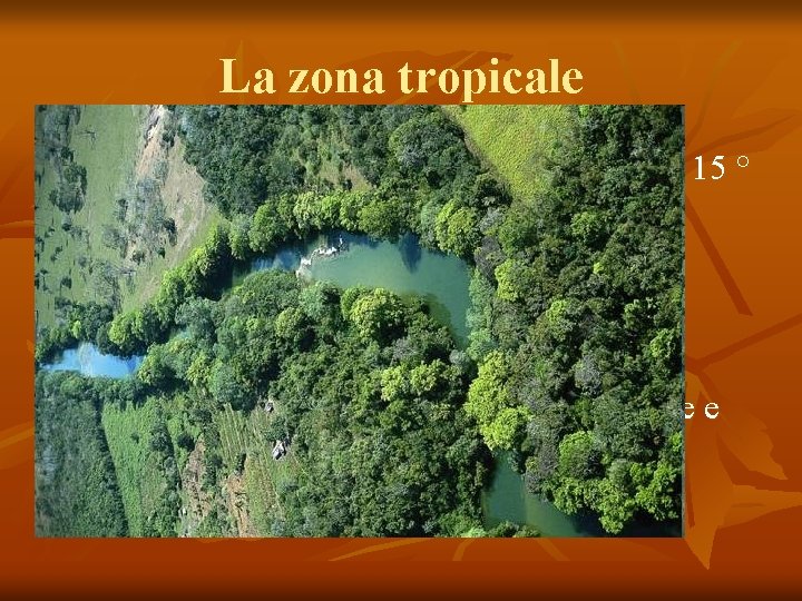 La zona tropicale n n Le temperature medie sono sempre sopra i 15 °