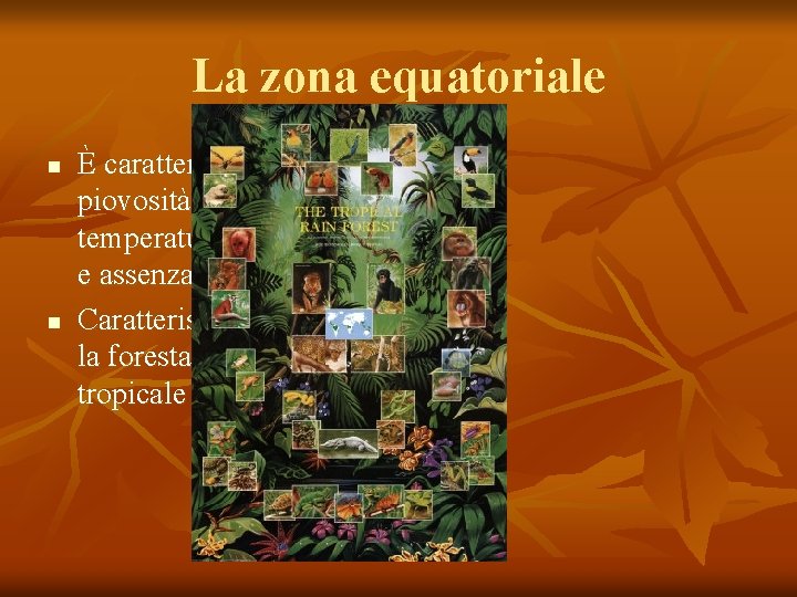 La zona equatoriale n n È caratterizzata da piovosità elevata, temperature sopra i 23°
