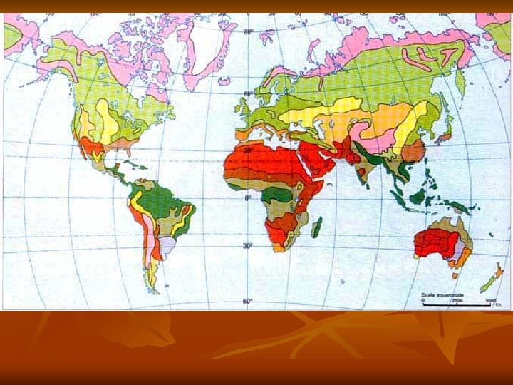 Bioma n n n Definiamo bioma la comunità di piante che sono caratteristici di