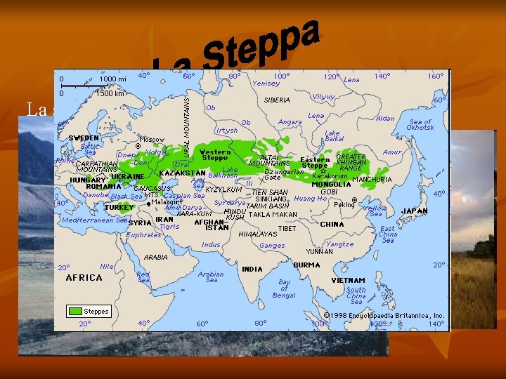 La steppa è un bioma caratterizzato da vegetazione erbacea. Questo ambiente si forma generalmente