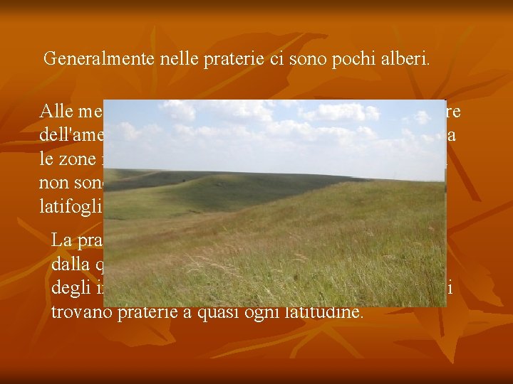 Generalmente nelle praterie ci sono pochi alberi. Alle medie altitudini, come ad esempio nelle