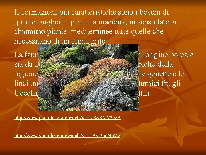 le formazioni più caratteristiche sono i boschi di querce, sugheri e pini e la