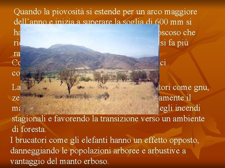 Quando la piovosità si estende per un arco maggiore dell’anno e inizia a superare