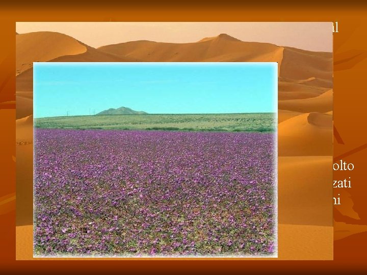 Al centro dei continenti le masse d’aria che arrivano dal mare hanno perso quasi